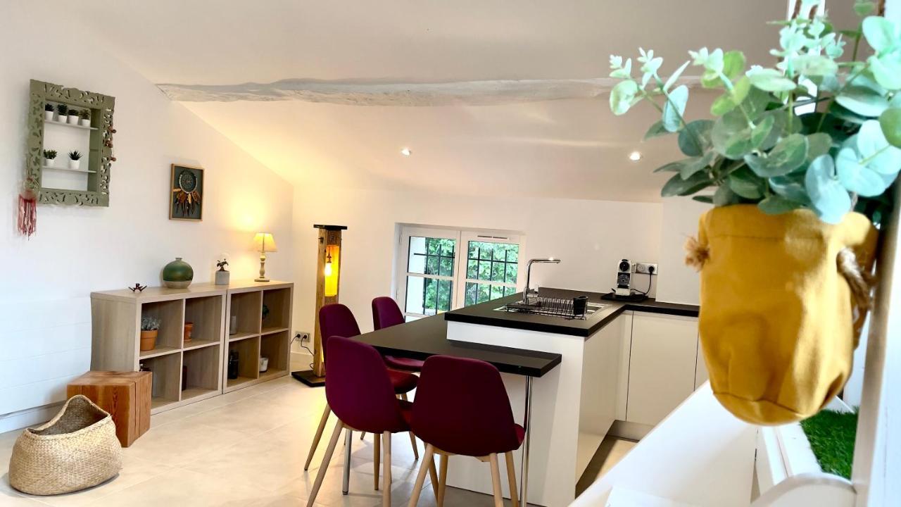 Duplex - Valbonne Village Eksteriør bilde