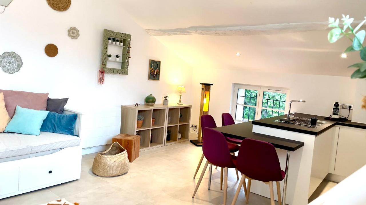Duplex - Valbonne Village Eksteriør bilde